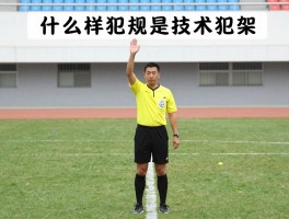 什么样犯规是技术犯规,技术犯规具体包括哪些行为,裁判手势怎么表示,罚则是什么