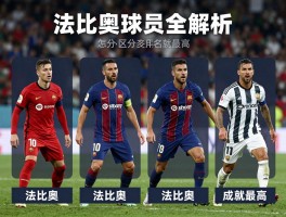 法比奥球员全解析，怎么区分多名法比奥，谁成就最高