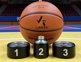 篮球的分类,如何选择,什么材质好,标准重量是多少