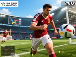 2k18球员模糊丨游戏画面不清晰怎么办,分辨率如何设置,垂直同步要开启吗