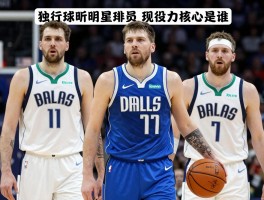 独行侠明星球员，历史排名如何,现役核心是谁,未来潜力怎样评估？