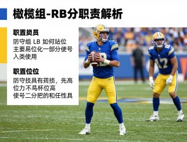 橄榄球球员简称,QB和RB分别指什么,防守组LB如何站位,各位置职责解析