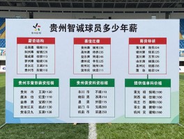 贵州智诚球员多少年薪,揭秘薪资结构,解读中小俱乐部生存之道