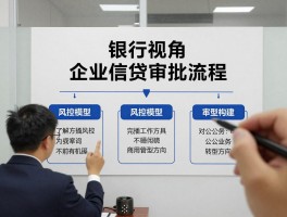 严中锋银行视角丨企业信贷审批流程,风控模型如何构建,对公业务转型方向