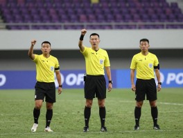 醉酒边裁如何影响比赛公正,赛场如何识别裁判醉酒,足球裁判醉酒怎么处罚