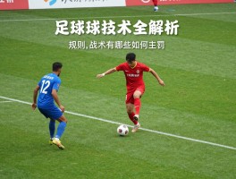 足球角球技术全解析：规则,战术有哪些,如何主罚,直接进球算分吗