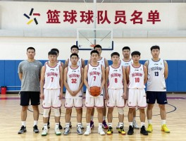 篮球队队员名单,如何获取最新球员信息,不同级别球队名单有哪些区别