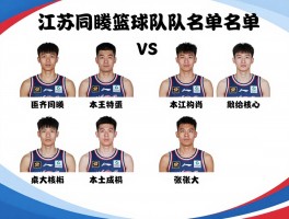 江苏同曦篮球队员名单,2025赛季新外援有哪些,本土核心是谁,阵容结构短板如何解决