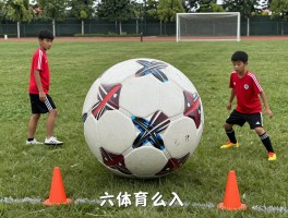 六角球是开什么的,六角球有什么用途,六角球训练方法有哪些