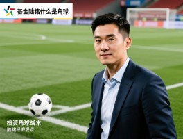 基金陆铭什么是角球,投资角球战术,陆铭经济观点