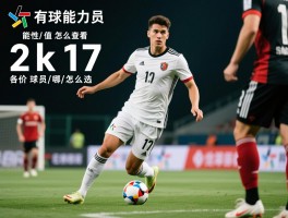 2k17球员能力值怎么查看,高性价比球员有哪些,各位置怎么选