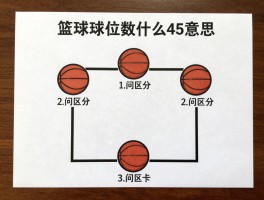 篮球球位数是什么意思,如何区分12345号位,哪个位置最适合新手