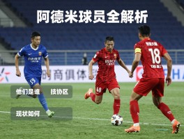 阿德米球员全解析：他们是谁,如何区分,现状如何？