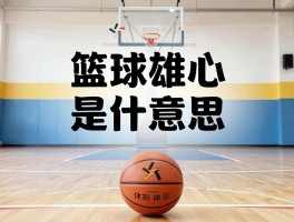 篮球雄心是什么意思,如何实现篮球梦想,篮球职业生涯规划怎么做