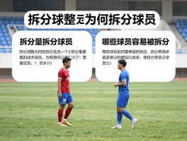 拆分球员,战术调整为何拆分球员,哪些球员容易被拆分,拆分后如何重建化学反应？