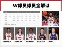 W球员全解读,哪些球星W开头,WNBA顶薪多少,如何查W球员资料
