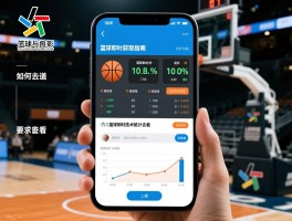 篮球即时数据获取指南,篮球即时比分如何查询,篮球即时技术统计怎么看