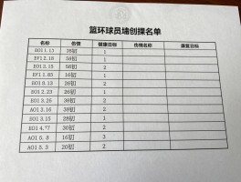 篮网球员受伤,最新名单有哪些,伤情如何影响球队,康复进展怎样