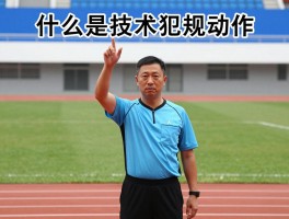 什么是技术犯规动作图片,技术犯规常见动作有哪些,裁判判罚手势怎么做