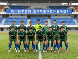 贵州恒丰智诚足球俱乐部球员,冲超功臣有哪些人,外援表现如何评价,球队为何解散