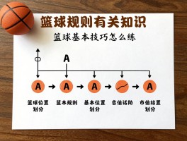 篮球的有关知识,篮球规则有哪些,篮球基本技巧怎么练,篮球位置怎么划分