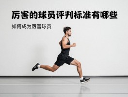 厉害的球员：评判标准有哪些,如何成为厉害球员,厉害球员具备哪些共同特征？