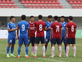 海南球队球员,海南有哪些职业球队,草根球员如何晋升,村VA明星球员有哪些