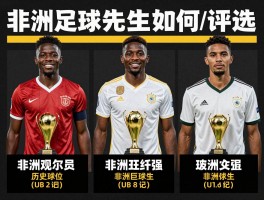非洲足坛球员,如何评价历史地位,现役谁最强,非洲足球先生如何评选