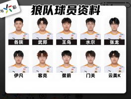狼队球员资料,最新阵容名单有哪些人,核心球员是谁,战术体系如何