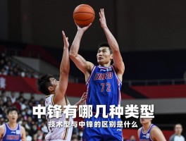 篮球中锋种类丨中锋有哪几种类型,技术型与力量型中锋的区别是什么,现代中锋角色如何演变