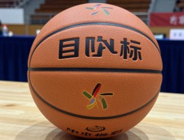 篮球的目标,篮球的目标是什么,篮球的目标怎么定,篮球的目标如何实现