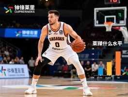 中锋卡莱里什么水平,卡莱里技术特点分析,中锋卡莱里职业生涯数据