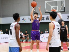 街头篮球球员,传奇人物,技术要求,团队协作,从街头到职业的成长之路