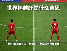 世界杯越位是什么意思,怎么判定的,新规则有什么变化