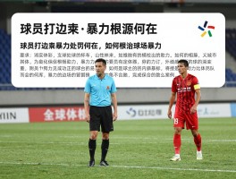 球员打边裁,暴力根源何在,如何根治球场暴力,全球处罚案例