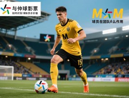 M球员有哪些,如何识别M球员价值,M球员在团队中起什么作用