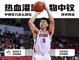 热血灌篮人物中锋丨中锋实力怎么排位,技术特点有哪些,如何选择适合的中锋