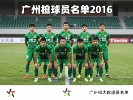 广州恒大球员名单2016，阵容特点是什么,主力阵容如何安排,赛季表现怎么样