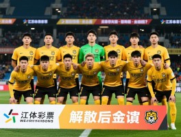 江苏苏宁队全部球员,冠军阵容名单,解散后球员去向如何？