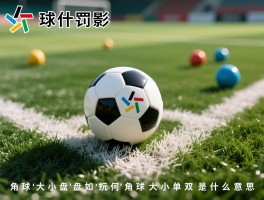 角球什么是大什么是小,角球判罚规则,角球大小盘如何玩,角球大小单双是什么意思