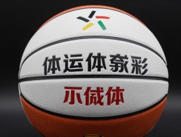 篮球皮肤,游戏皮肤有哪些,实体篮球什么材质好,如何选择篮球皮肤