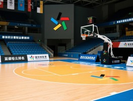 篮球积分赛制全解析,单循环赛制如何组织,积分相同怎么排名,胜负关系如何判定