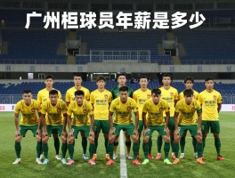 广州恒大球员年薪是多少,恒大球员年薪排名谁最高,恒大薪资结构如何组成