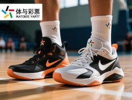 篮球鞋与跑步鞋的区别,能否互换使用,设计差异在哪,适用场景如何选