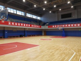 龙凤篮球馆,收费标准是怎样的,如何预约场地,近期有哪些比赛活动