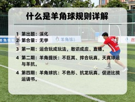 什么是羊角球竞赛项目,羊角球比赛规则详解,羊角球玩法与技巧
