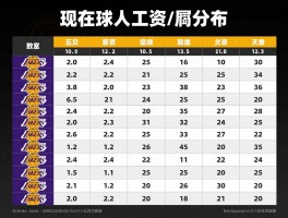 湖人现在球员工资如何分布,薪资结构合理吗,如何避开奢侈税