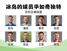 冰岛的球员名字丨为何如此独特,怎样正确读写,有哪些传奇球星