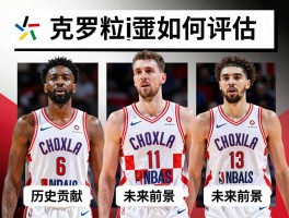 克罗地亚的nba球员丨历史贡献如何评估,现役代表有哪些,未来前景怎么样？