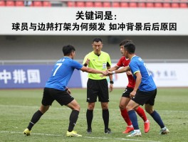 球员与边裁打架为何频发,冲突背后原因,如何有效管控赛场暴力
